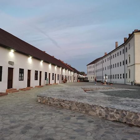 Spiegel Center Apartment Oradea Exterior photo